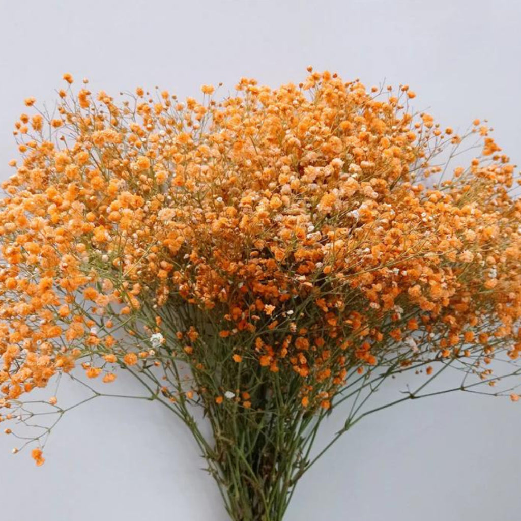ANEKA - Bunga Artificial / Plastik / Baby's Breath / Bouquet Flowers / Imitasi / Gyphsopila