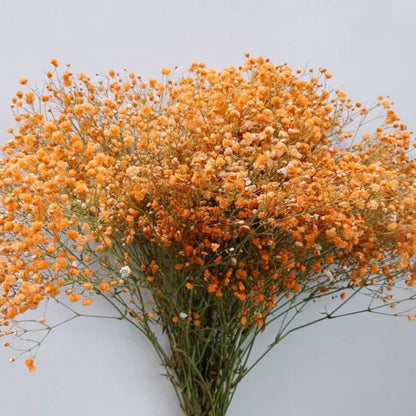 AnekaBenang - Artificial Flowers / Plastic / Baby's Breath / Bouquet Flowers / Imitation / Gyphsopila