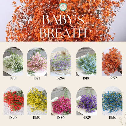 AnekaBenang - Artificial Flowers / Plastic / Baby's Breath / Bouquet Flowers / Imitation / Gyphsopila